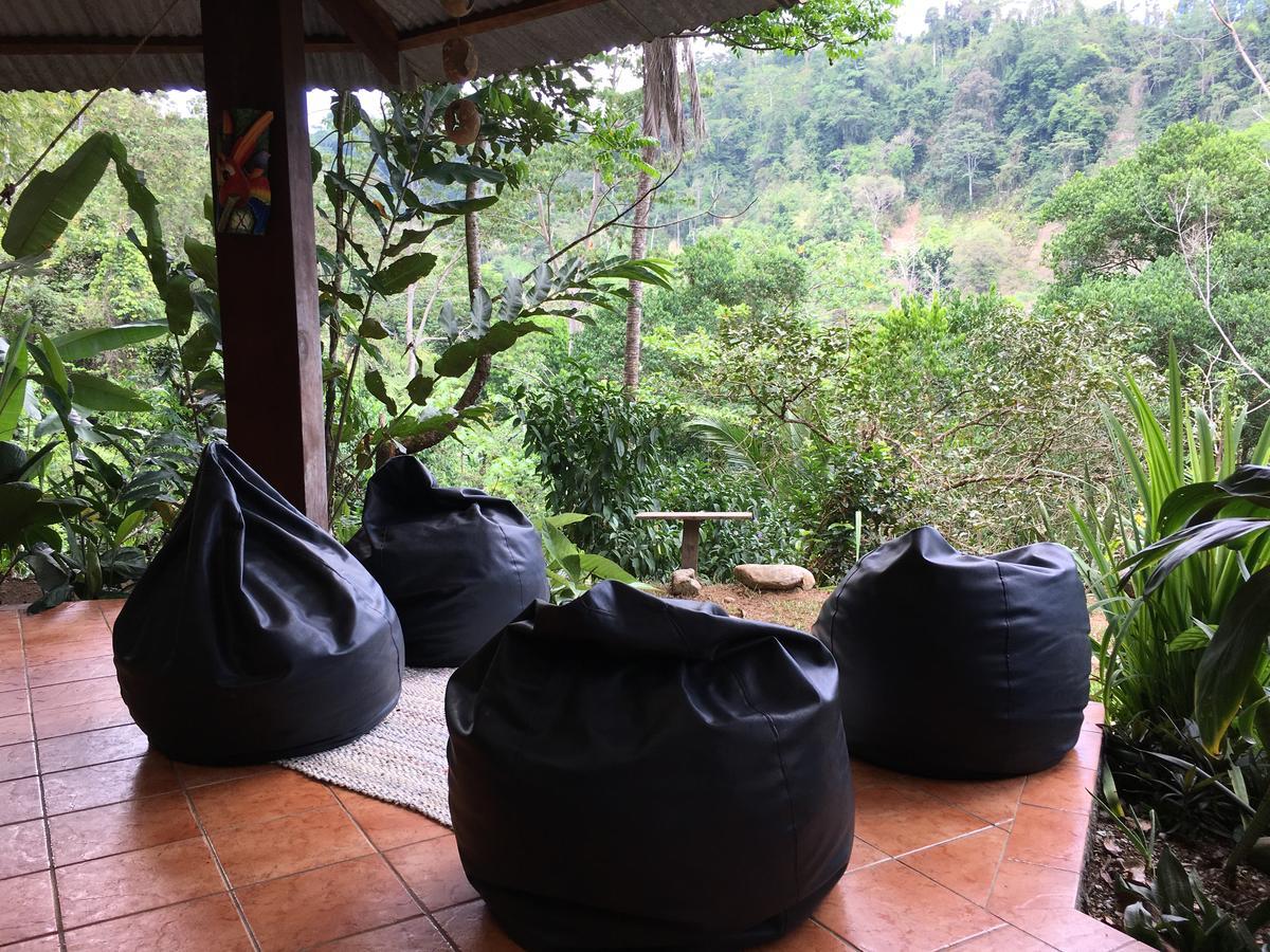 Amazonita Ecolodge Dos Brazos Exteriör bild