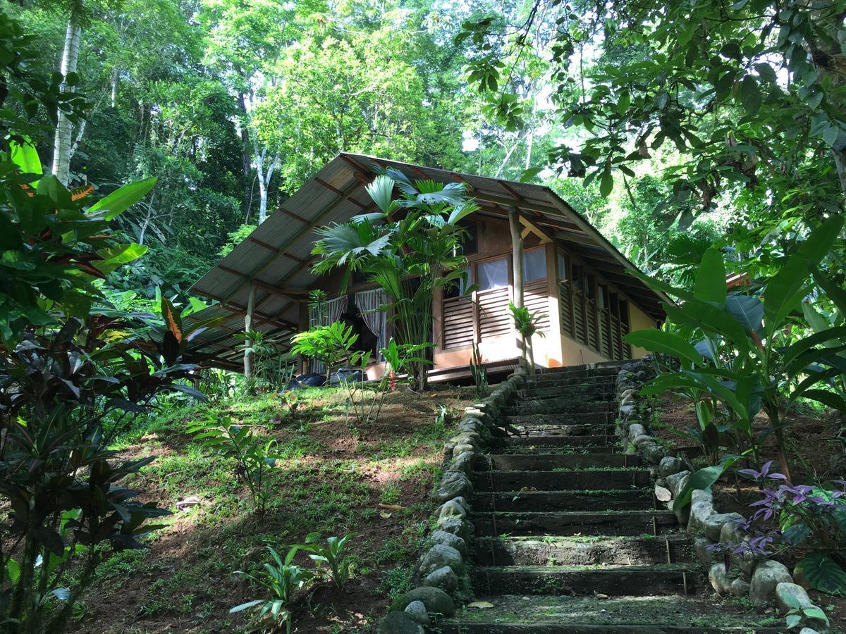 Amazonita Ecolodge Dos Brazos Exteriör bild