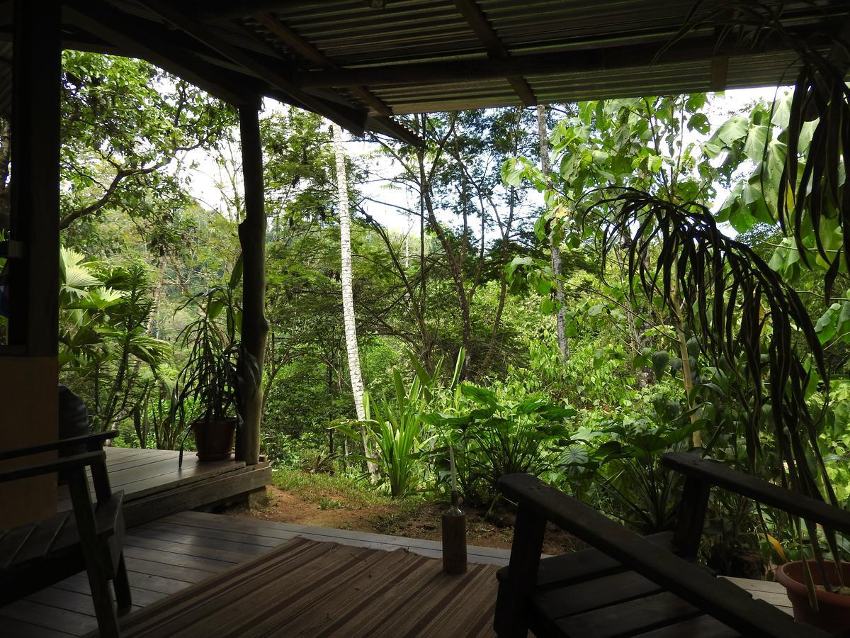 Amazonita Ecolodge Dos Brazos Exteriör bild