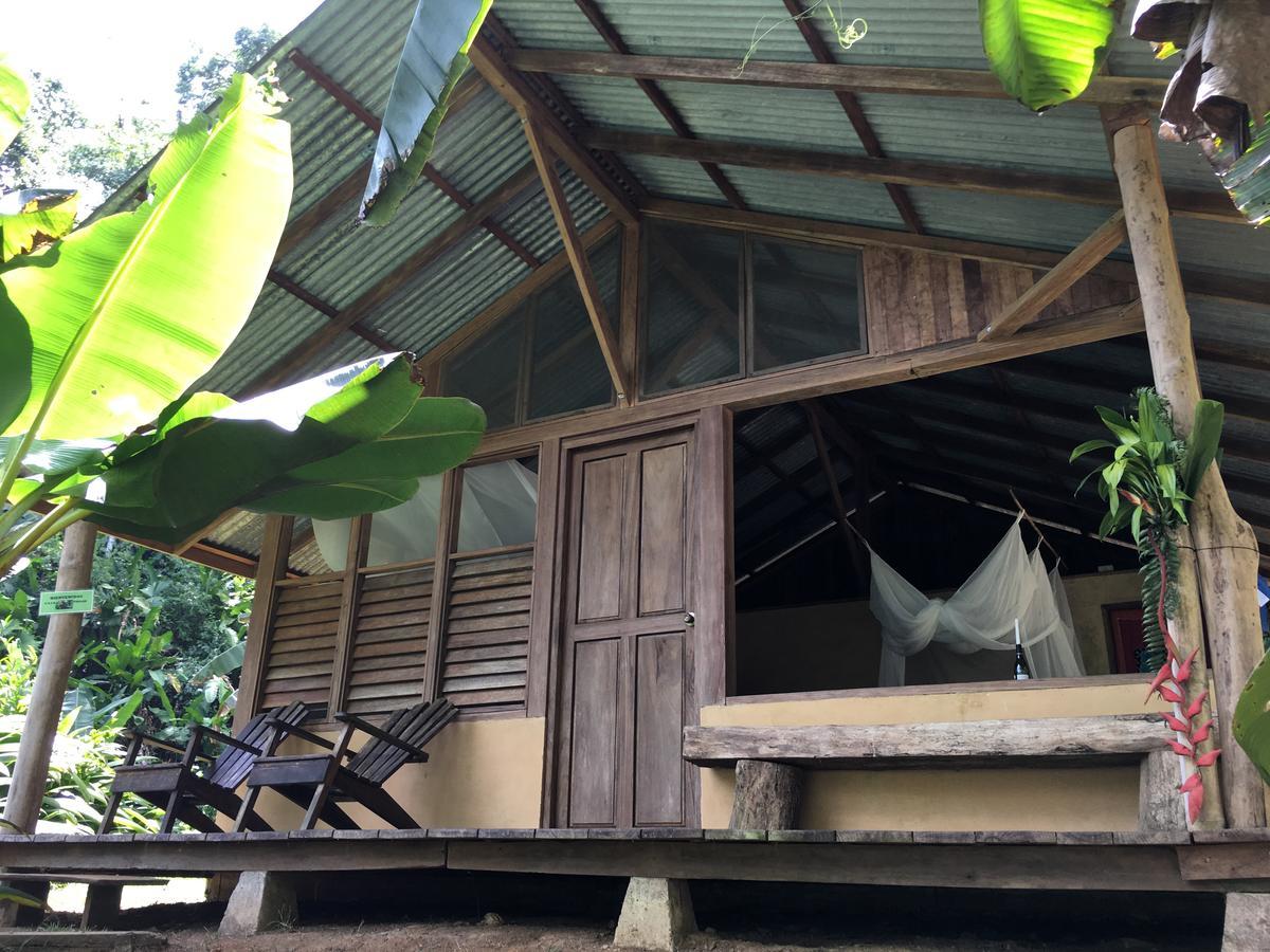 Amazonita Ecolodge Dos Brazos Exteriör bild