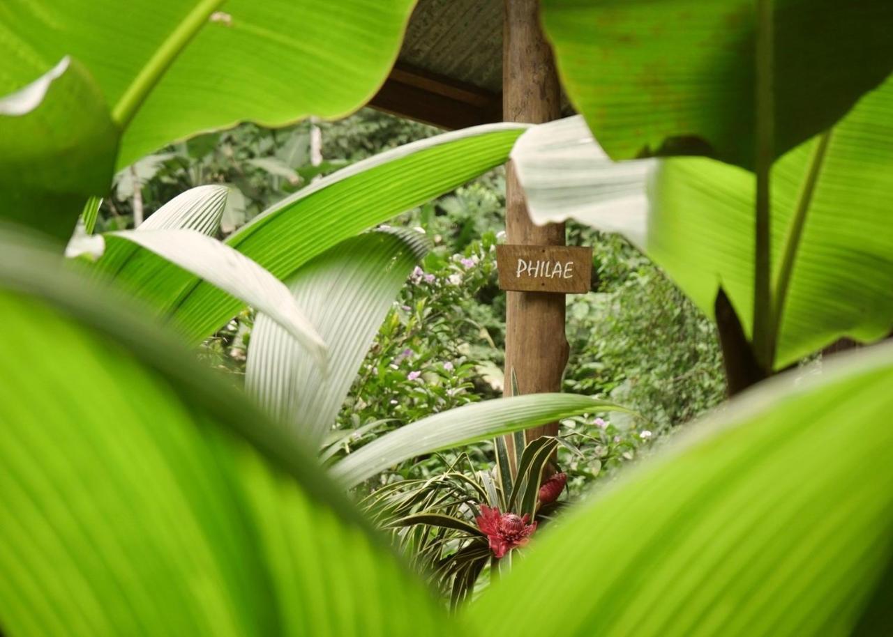 Amazonita Ecolodge Dos Brazos Exteriör bild