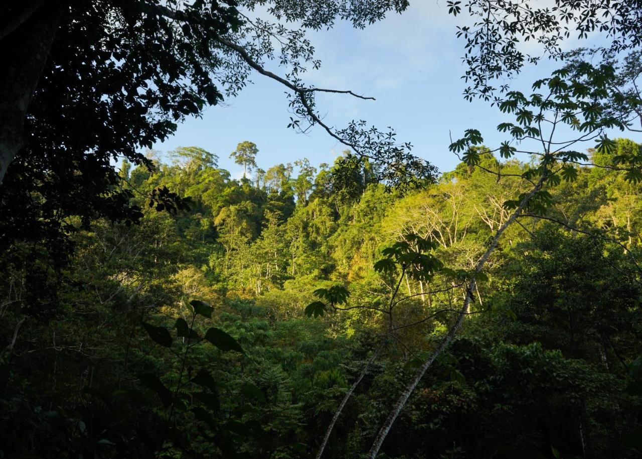 Amazonita Ecolodge Dos Brazos Exteriör bild