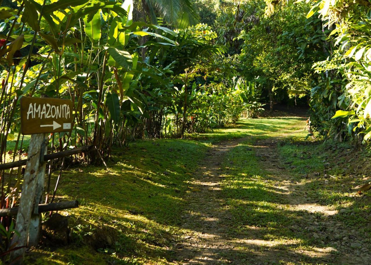 Amazonita Ecolodge Dos Brazos Exteriör bild